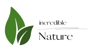 Logo von Incredible Nature. Zwei grüne Blätter mit Schriftzug